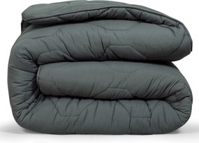Dekbed 2 in 1 - Wasbaar dekbed zonder overtrek - 200x200 - antraciet