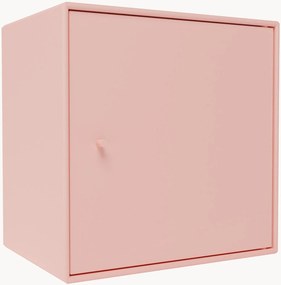 Module Mini 1003