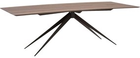 Goossens Excellent Eettafel Uniek, Rechthoekig 240 x 100 cm