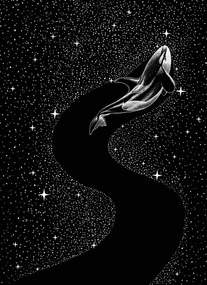 Ilustratie Starry Orca, Aliriza Cakir, (30 x 40 cm)
