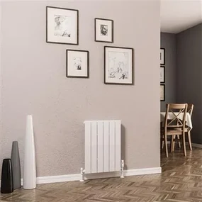 Eastbrook Addington type 10 radiator 45x60cm 421W staal wit glans