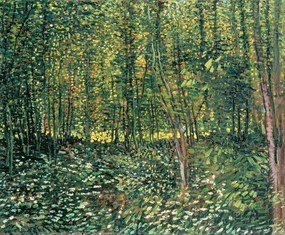 Vincent van Gogh - Kunstdruk Trees and Undergrowth, 1887, (40 x 35 cm)