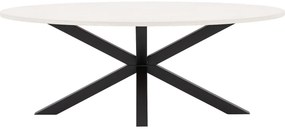 Goossens Eettafel Stone, Ovaal 210 x 120 cm
