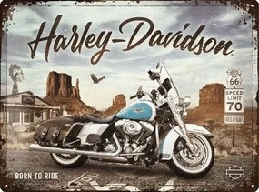 Metalen wandbord Harley-Davidson - King of Route 66, (40 x 30 cm)