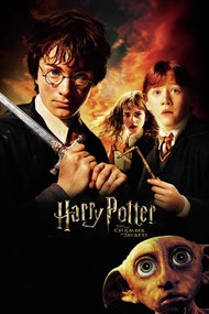 Kunstafdruk Harry Potter - Chamber of secrets