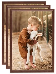 vidaXL Fotolijsten 3 st voor tafel 18x24 cm MDF bruin