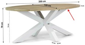 Tuinset 4 personen 200 cm Aluminium/teak Wit Lifestyle Garden Furniture Brandon/Bradford