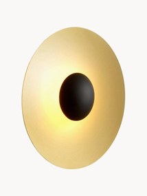 Dimbare LED wandlamp Ginger, verschillende formaten