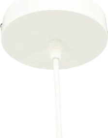 Rieten Lamp Organische Vorm Naturel