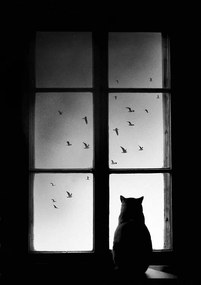 Foto Winter is here, Mario Pucic