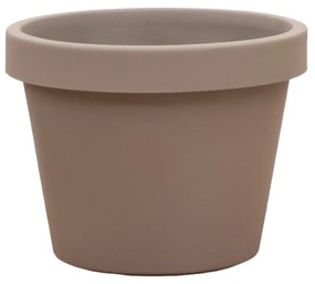 Lira Tortora