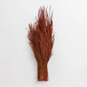 Dimka Decoratieve Bos Rood – Klei - Sklum