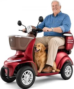 VEVOR elektrische scootmobiel met 4 wielen, draagvermogen 227 kg, actieradius 35 km, 3 versnellingen, 1000 W elektrische recreatieve rolstoel voor alle terreinen, maximale hellingshoek 20°