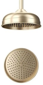 Crosswater Belgravia Hoofddouche - rond - 20cm - easy clean - geborsteld messing (goud) FH08F_EC