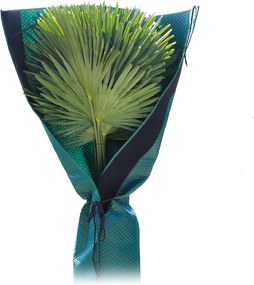 Bio Green plantenhoes voor palmen - geschikt tot H150 cm en stam met diameter 35 cm