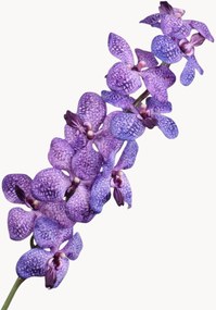 Kunstbloemen Vanda, 2-delig