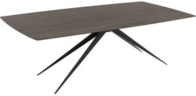 Goossens Excellent Eettafel Uniek, Semi rechthoekig 240 x 100 cm