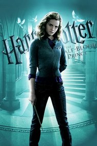 Kunstafdruk Harry Potter - De Halfbloed Prins