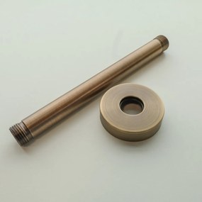 Saniclear Antique douchearm voor plafondmontage 20cm verouderd messing