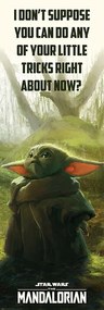 Poster Star Wars: The Mandalorian - Special Tricks, (53 x 158 cm)