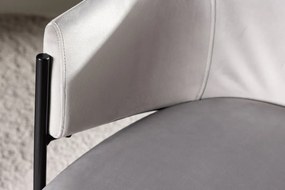 Jörn Eetkamerstoel - Sara -  Lichtgrijs - Fluweel - Jörn
