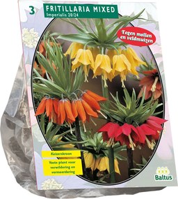 Baltus 'Fritillaria Imperialised' - voorjaarsbloeiers - Mix - 3 bollen