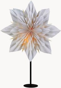 Kerstster met verlichting Neela