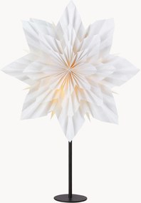 Kerstster Neela