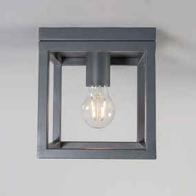 Industriële plafondlamp antraciet - Cage Design, Industriele / Industrie / Industrial, Modern E27 vierkant Binnenverlichting Lamp