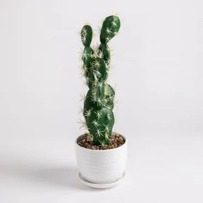 Kunst Cactus Opuntia 41 cm ↑41 cm - Sklum