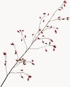 Handgemaakte kunsttakken Rozenbottel, 2-delig