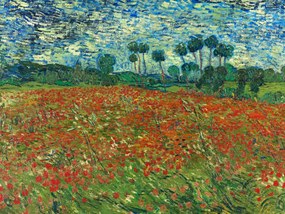 Kunstdruk Poppy Fields - Vincent van Gogh, (40 x 30 cm)