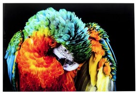 Kare Design Tropical Parrot Glas Schilderij Papegaai