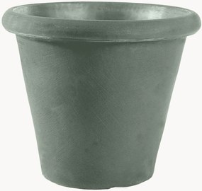 Plantenpot Camelia