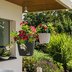LECHUZA Plantenbak NIDO Cottage 35 ALL-IN-ONE granietkleurig