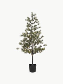 Kerstboom Peuce met LED-verlichting
