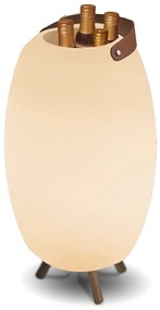 Buitenlamp Vloerlamp wit 72,5cm incl. LED en speaker dimbaar RGB IP44 met afstandsbediening - Apolo Modern IP44 Buitenverlichting ovaal
