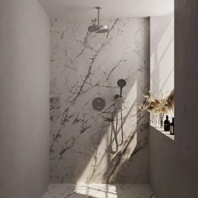 Brauer Stripe inbouw regendouche rond met 25cm hoofddouche, plafondarm en 3 standen handdouche set 42 RVS geborsteld PVD