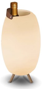Buitenlamp Vloerlamp wit 40,5cm incl. LED en speaker dimbaar RGB IP44 met afstandsbediening - Apolo IP44 Buitenverlichting ovaal