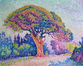 Kunstreproductie The Pine Tree at St. Tropez, 1909, Paul Signac