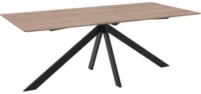 Goossens Excellent Eettafel Ferris Piramide Poot, Rechthoekig 200 x 100 cm