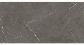 ABK Imoker Sensi Vloer- en wandtegel - 60X120cm - 8,5mm - Rechthoek - gerectificeerd - Porcellanato gekleurd Stone Grey Glans 2018131