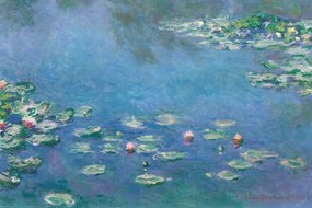 Poster Claude Monet - Waterlillies