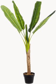 Kunstplanten Banano, 2-delig