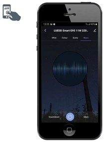 Smart E27 dimbare LED lamp G95 11W 900 lm 2200-4000K RGB