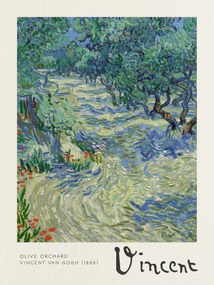 Kunstdruk Olive Orchard - Vincent van Gogh, (30 x 40 cm)