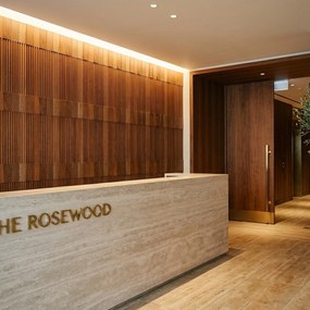 3D Houten Wandpaneel | Rosewood XL | 30×60 cm | Wanddecoratie