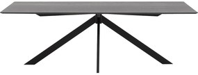 Goossens Excellent Eettafel Uniek, Rechthoekig 240 x 100 cm