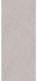 Zenon Essenza wandpanelen - 120x60cm - SPC - set van 4 - Vertigo pearl (grijs) 400000000000044855