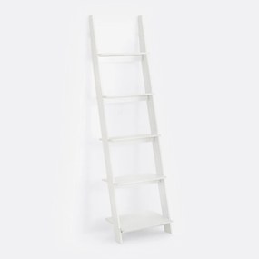Wandrek in ladder model Domeno
